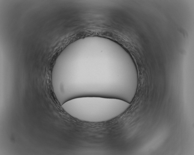 X0000114151397200910081103
