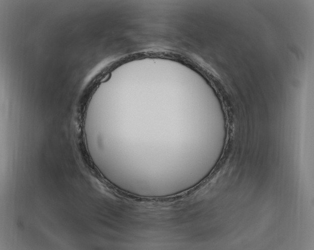 X0000114151400200910081103
