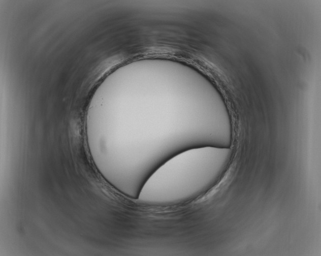X0000114151401200910081103