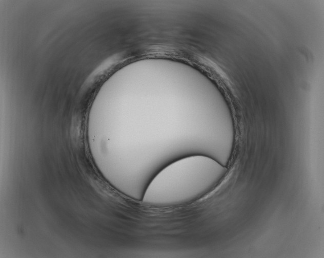 X0000114151403200910081103