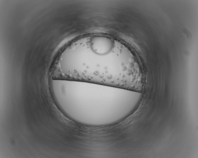X0000114151404200910081103