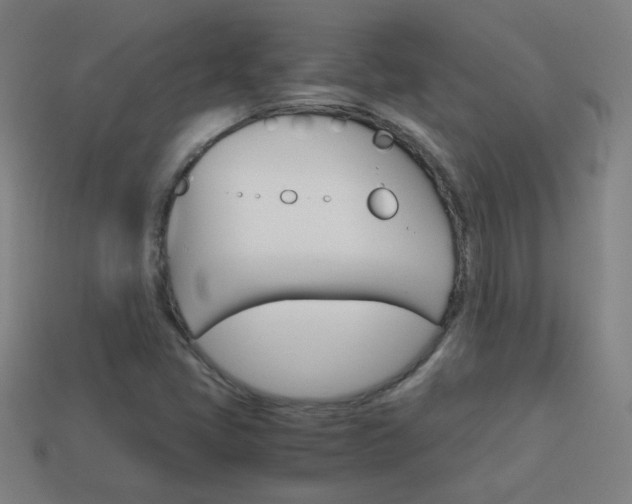 X0000114151405200910081103