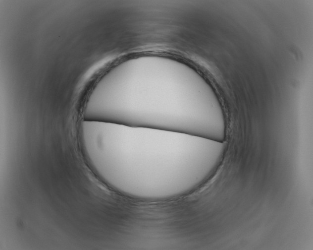 X0000114151406200910081103
