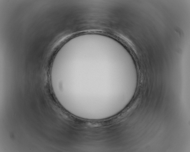 X0000114151407200910081103