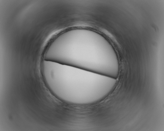 X0000114151408200910081103
