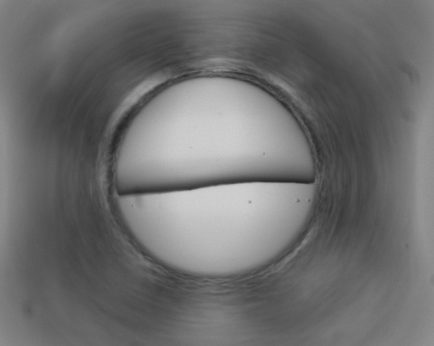 X0000114151410200910081103