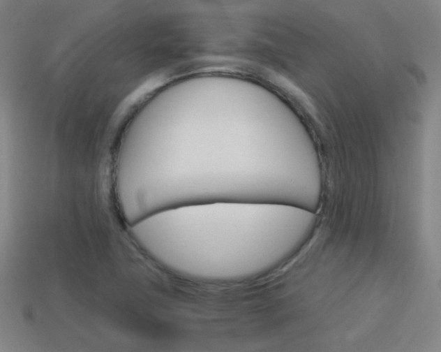 X0000114151411200910081103
