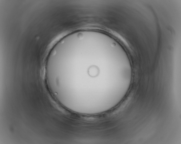 X0000114151413200910081103