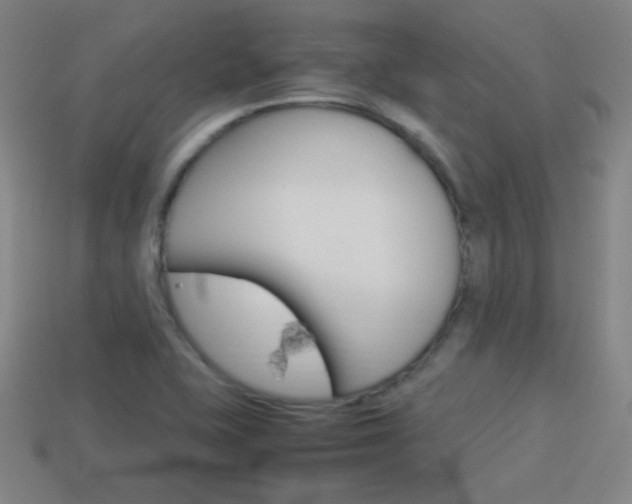 X0000114151415200910081103