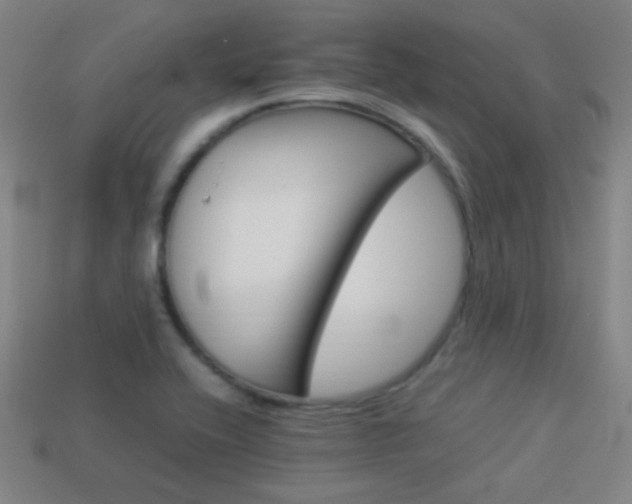 X0000114151416200910081103