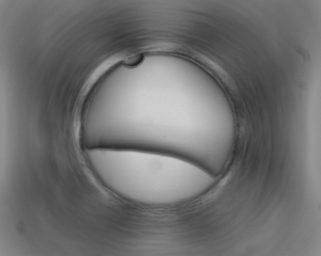 X0000114151418200910081103