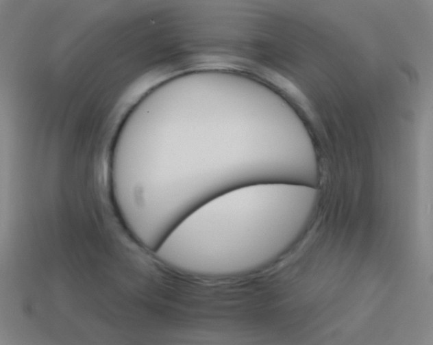 X0000114151419200910081103