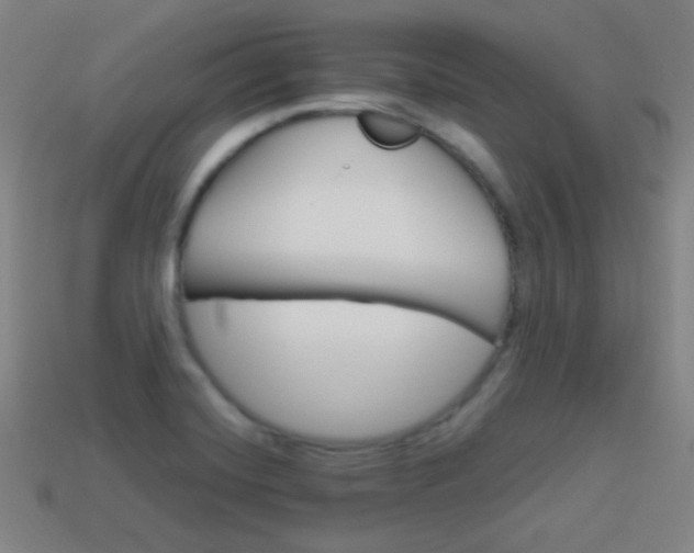 X0000114151420200910081103