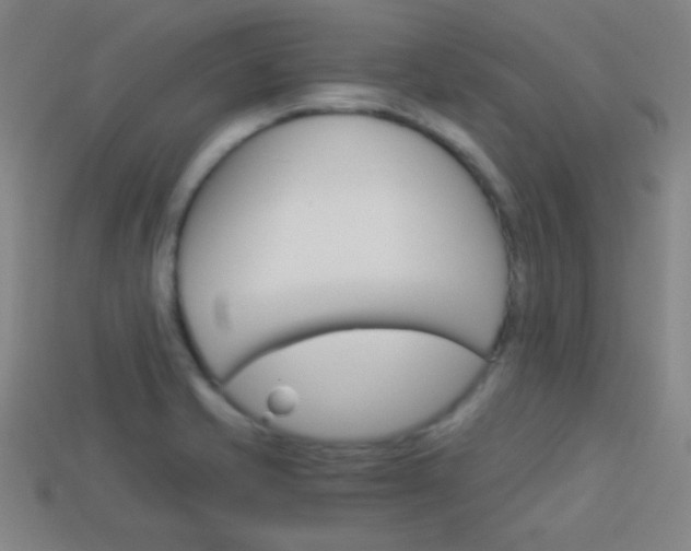 X0000114151421200910081103
