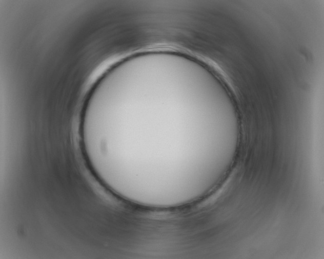X0000114151422200910081103