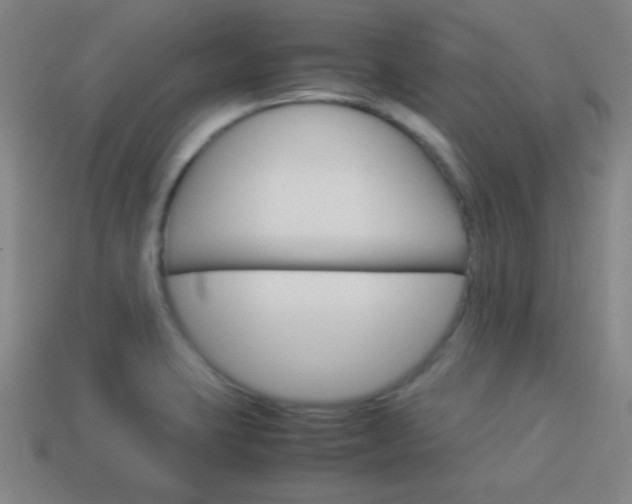 X0000114151423200910081103