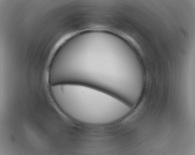 X0000114151424200910081103