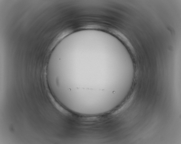 X0000114151425200910081103
