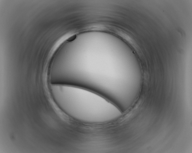 X0000114151426200910081103