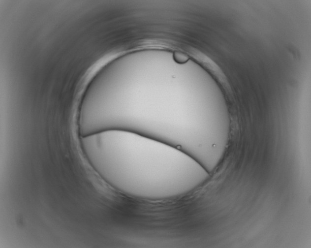X0000114151427200910081103