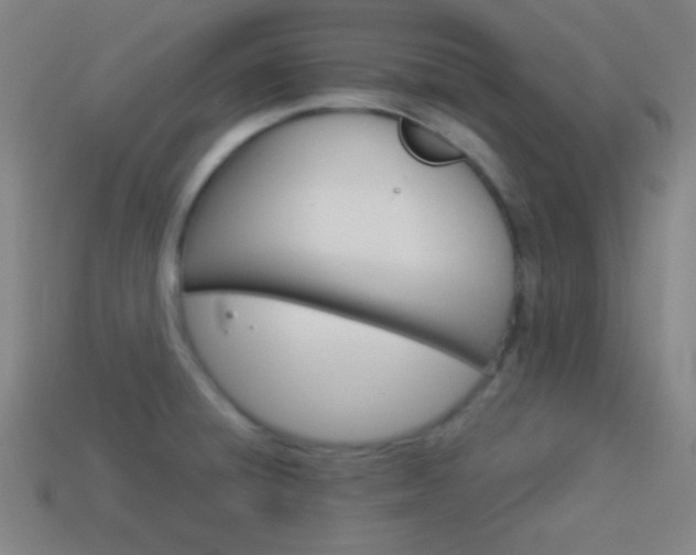 X0000114151428200910081103