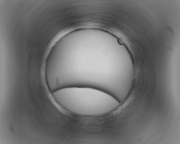 X0000114151429200910081103