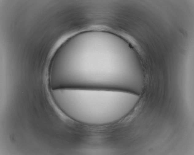 X0000114151430200910081103