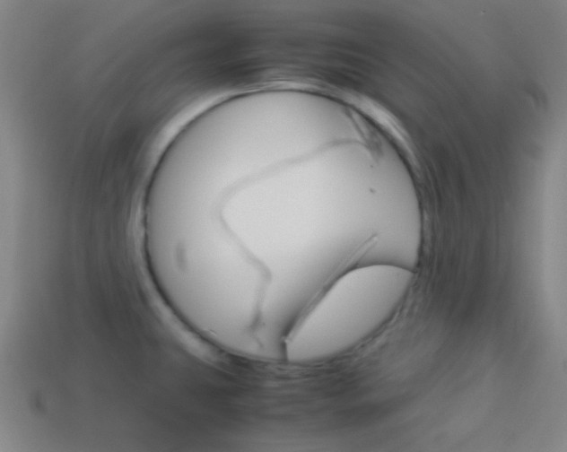 X0000114151431200910081103