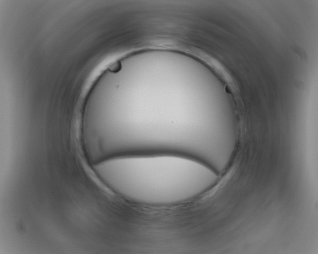 X0000114151432200910081103