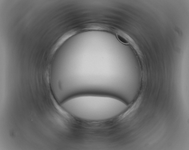 X0000114151433200910081103
