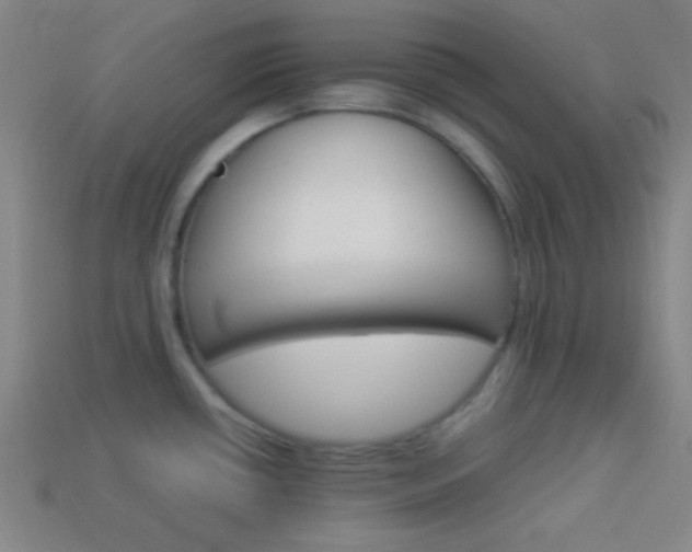 X0000114151434200910081103