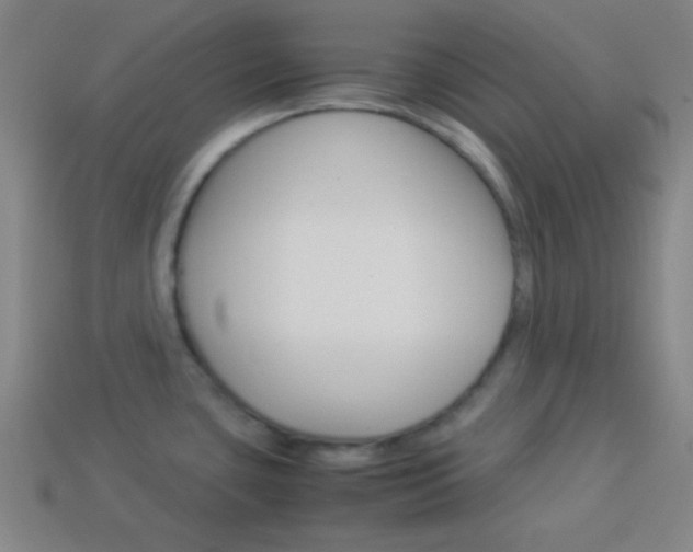 X0000114151435200910081103