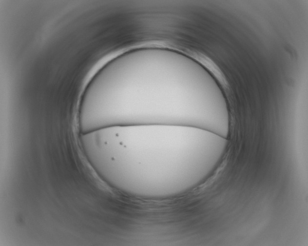 X0000114151436200910081103