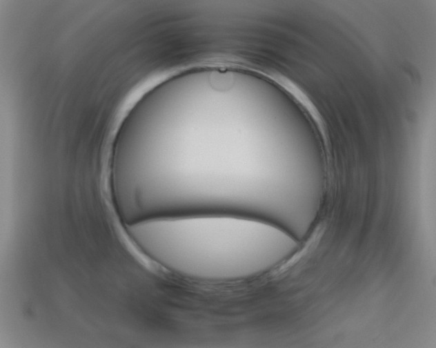 X0000114151437200910081103