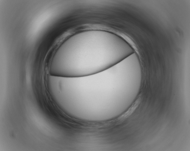 X0000114151438200910081103