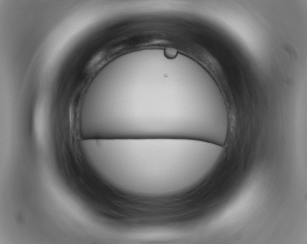 X0000114151439200910081103