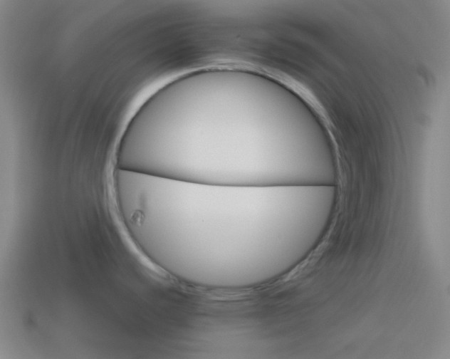 X0000114151440200910081103