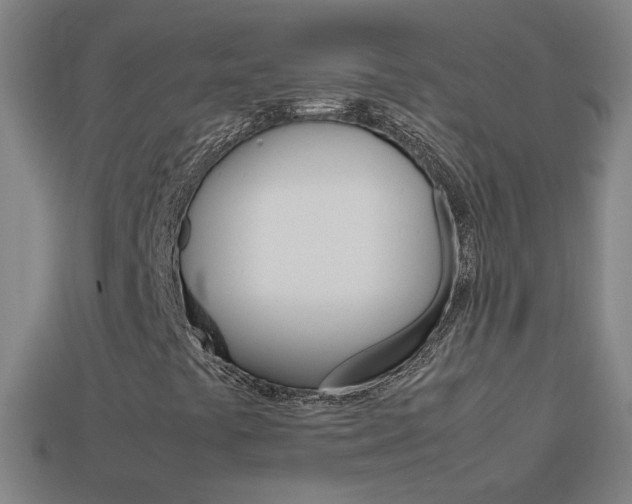X0000114151441200910081103