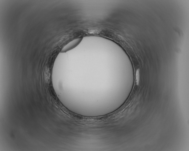 X0000114151443200910081103