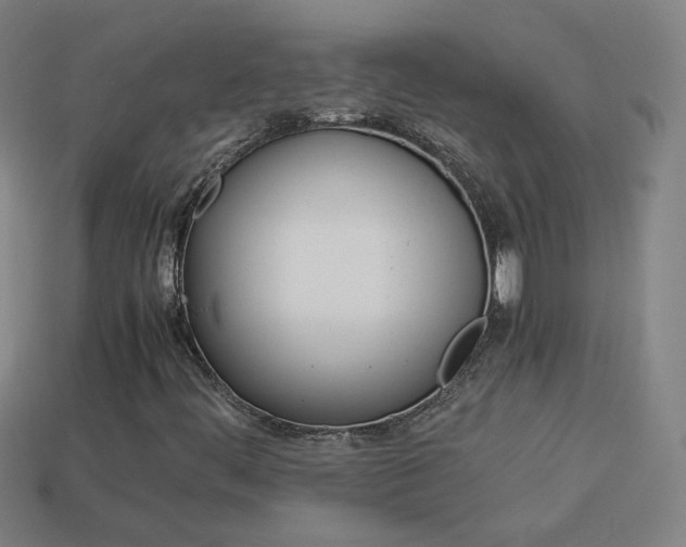 X0000114151444200910081103