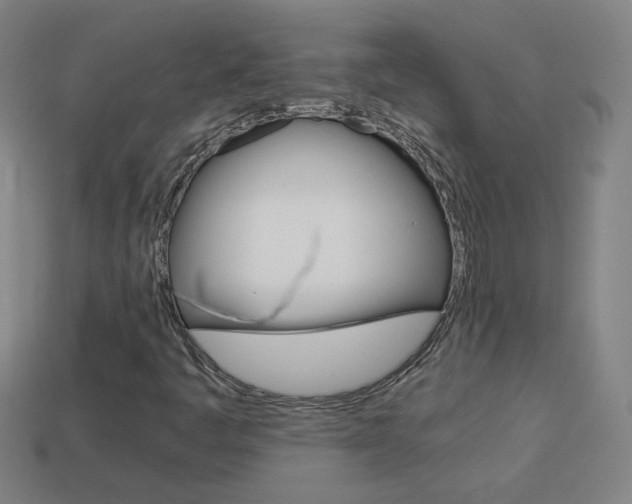 X0000114151445200910081103