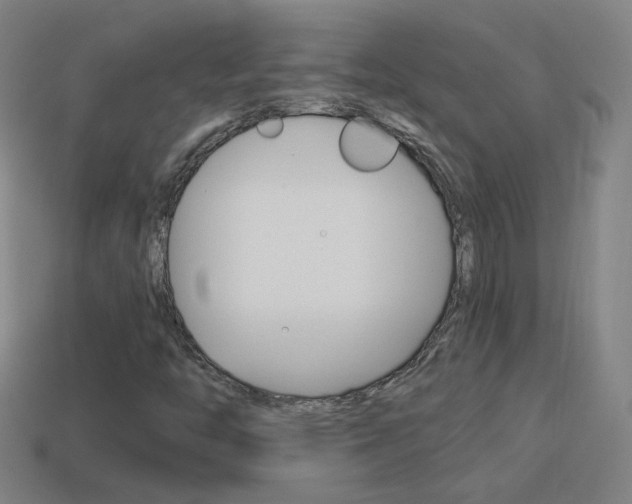 X0000114151446200910081103