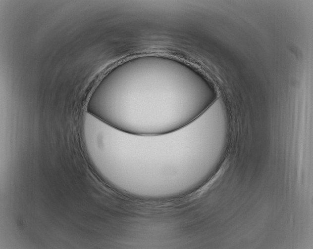 X0000114151449200910081103