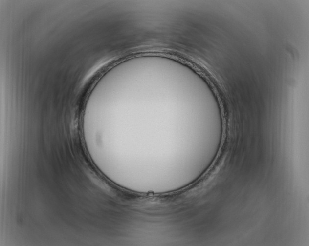 X0000114151450200910081103