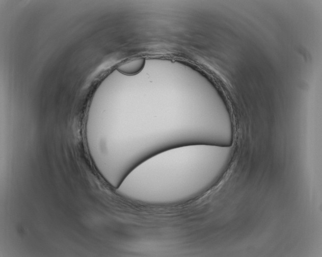 X0000114151451200910081103