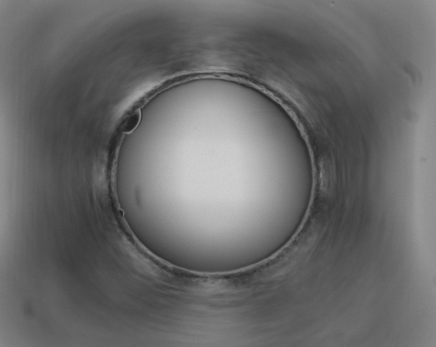 X0000114151452200910081103