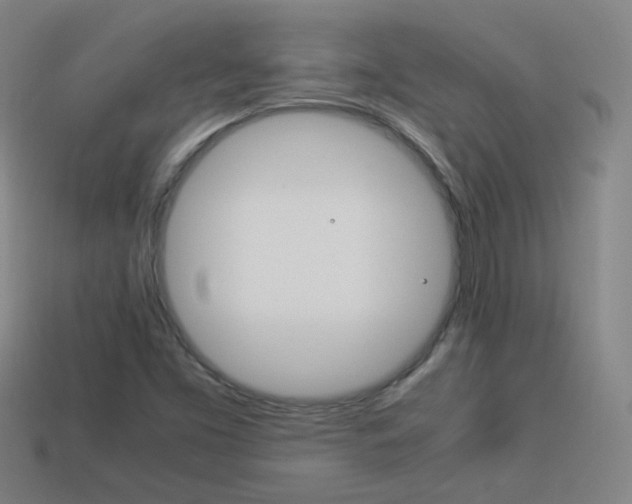 X0000114151453200910081103