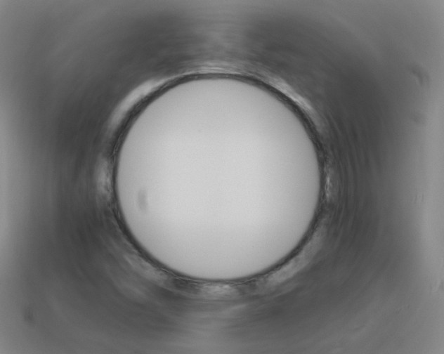 X0000114151454200910081103