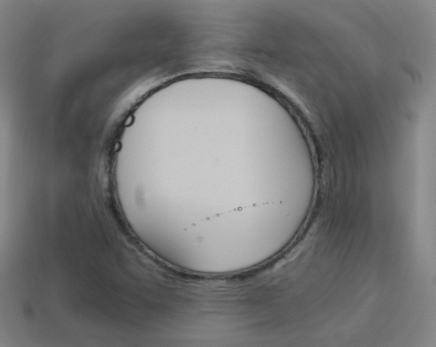 X0000114151455200910081103