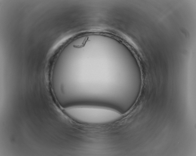 X0000114151456200910081103